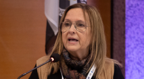 Doença mental: «As pessoas em situação de vulnerabilidade têm que ter acesso a cuidados» Image Title