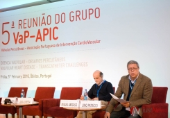 5.ª Reunião do Grupo VaP-APIC