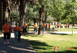 Dia Europeu da Insuficiência Cardíaca 2014 - Atividade de exercício anual do Grupo de Estudos de Reabilitação Cardíaca da Sociedade Portuguesa de Cardiologia para o doente Cardiovascular e população em geral