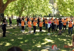 Dia Europeu da Insuficiência Cardíaca 2014: Atividade de exercício anual do Grupo de Estudos de Reabilitação Cardíaca da Sociedade Portuguesa de Cardiologia para o doente Cardiovascular e população em geral (Parque das Conchas, Lumiar)