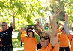 Dia Europeu da Insuficiência Cardíaca 2014: Atividade de exercício anual do Grupo de Estudos de Reabilitação Cardíaca da Sociedade Portuguesa de Cardiologia para o doente Cardiovascular e população em geral (Parque das Conchas, Lumiar)