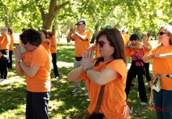 Dia Europeu da Insuficiência Cardíaca 2014: Atividade de exercício anual do Grupo de Estudos de Reabilitação Cardíaca da Sociedade Portuguesa de Cardiologia para o doente Cardiovascular e população em geral (Parque das Conchas, Lumiar)