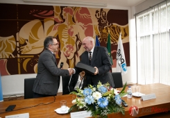 Caminho dos Hospitais em Portalegre