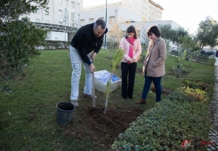 62.º aniversário do Hospital de Santa Maria