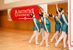 8.º Encontro Nacional das USF