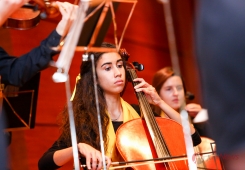 Lição de Jubilação de Daniel Sampaio