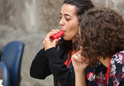 Medicina Interna: Reunião do Núcleo de Estudos de Doenças Respiratórias 2019
