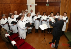 Dia do Voluntário do Hospital de Santa Maria