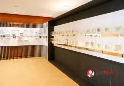 Dia da Faculdade de Medicina da Universidade de Lisboa 2019
